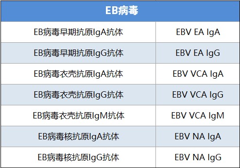 化学发光解决方案 (14).jpg
