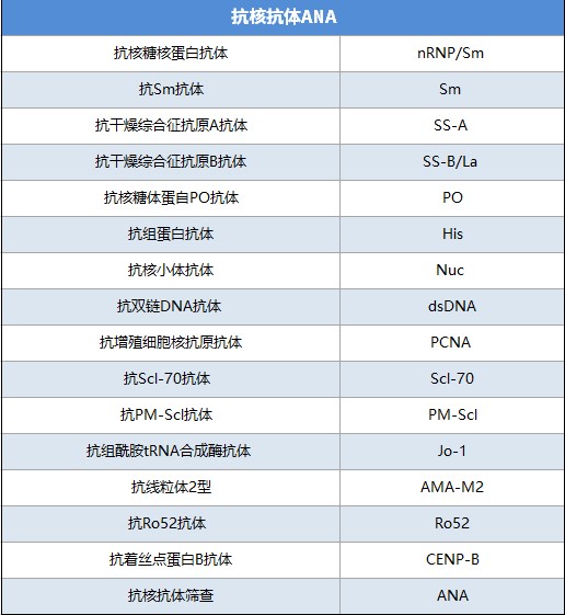 自身免疫发光解决方案 (1).jpg