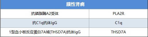 自身免疫发光解决方案 (4).jpg